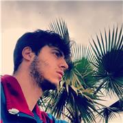Laureando in Informatica e Professional Software Developer tiene lezioni private di Informatica